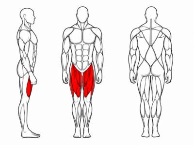 Prikaz aktivacije kvadricepsa tijekom vježbanja na Jerai Leg Extension spravi